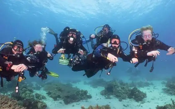 Best Dive Clubs in New Zealand Worth Joining