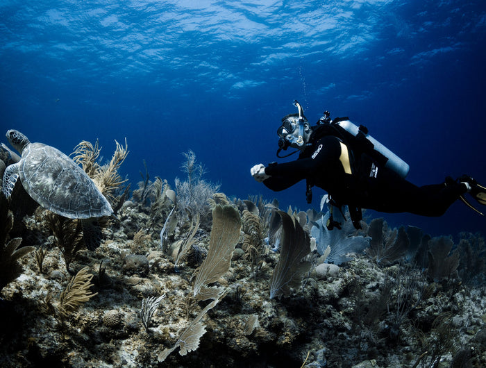 <h1>Explore Our Bestselling Dive Regulators & Upgrade Your Gear Today!</h1>