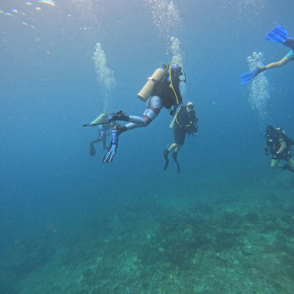Philippines Dive Trip May 2027 – Philippines Dive Holiday with NZDiver