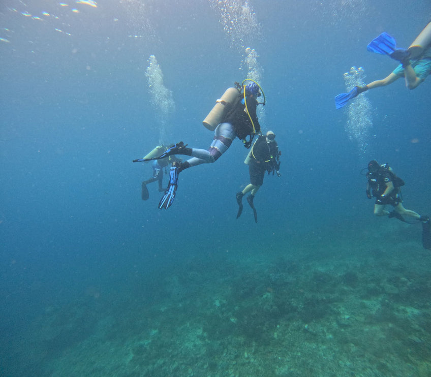 Philippines Dive Trip May 2027 – Philippines Dive Holiday with NZDiver