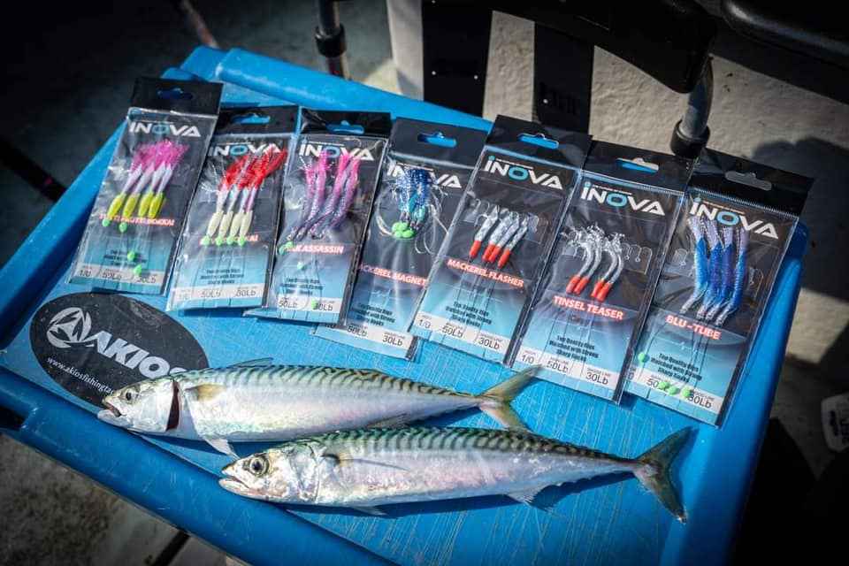 INOVA Bait Flasher Rig – Devils Hokkai 1/0 Hook | Live Bait Rig NZ
