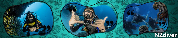 <h3>Southern Dolphin Adult Silicone Mask and Snorkel Set</h3>