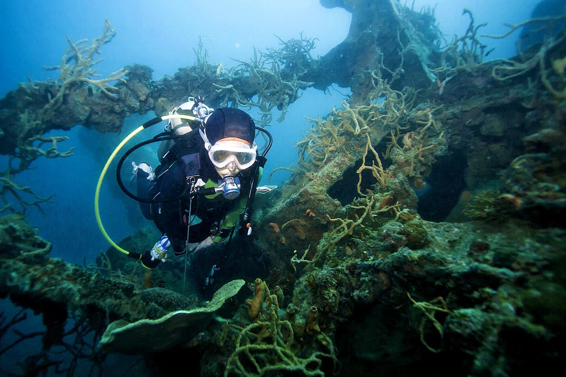 Coron Philippines Dive Trip 2027 – Philippines Dive Holiday with NZDiver