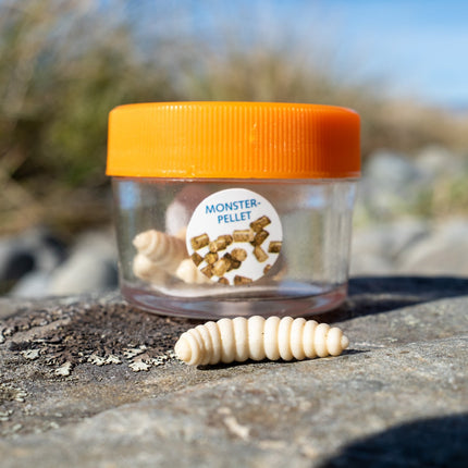 Flavoured Bee Maggot (Natural)