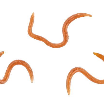 Natural Looking Artificial Worms