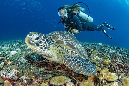 Northern Palawan Dive Adventure May 2027 – 26 Dives Philippines Holiday with NZDiver