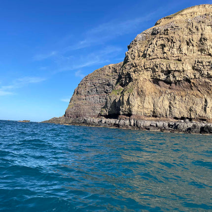 Bulk Pack of 12 Wolf Folding  Pocket Knife RED