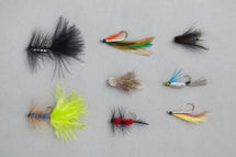 Trout Streamer