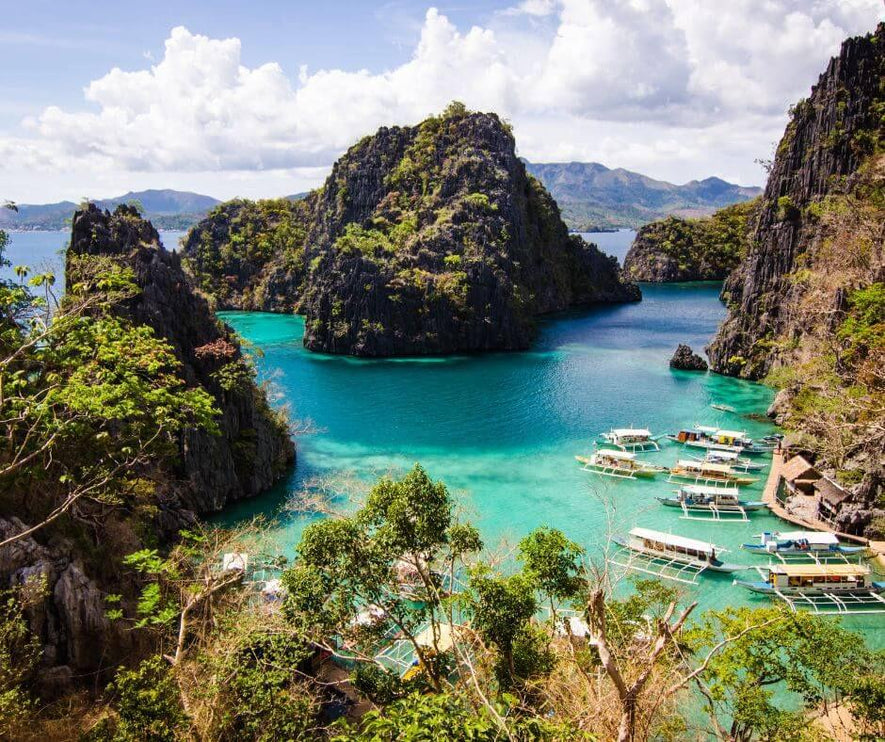 Coron Philippines Dive Trip 2027 – Philippines Dive Holiday with NZDiver