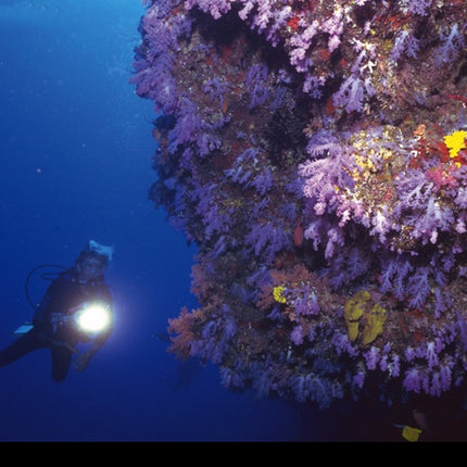 Mega BrightBuddy Dive Torch -2500 lumens