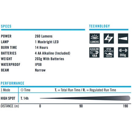 Princeton TEC League Torch