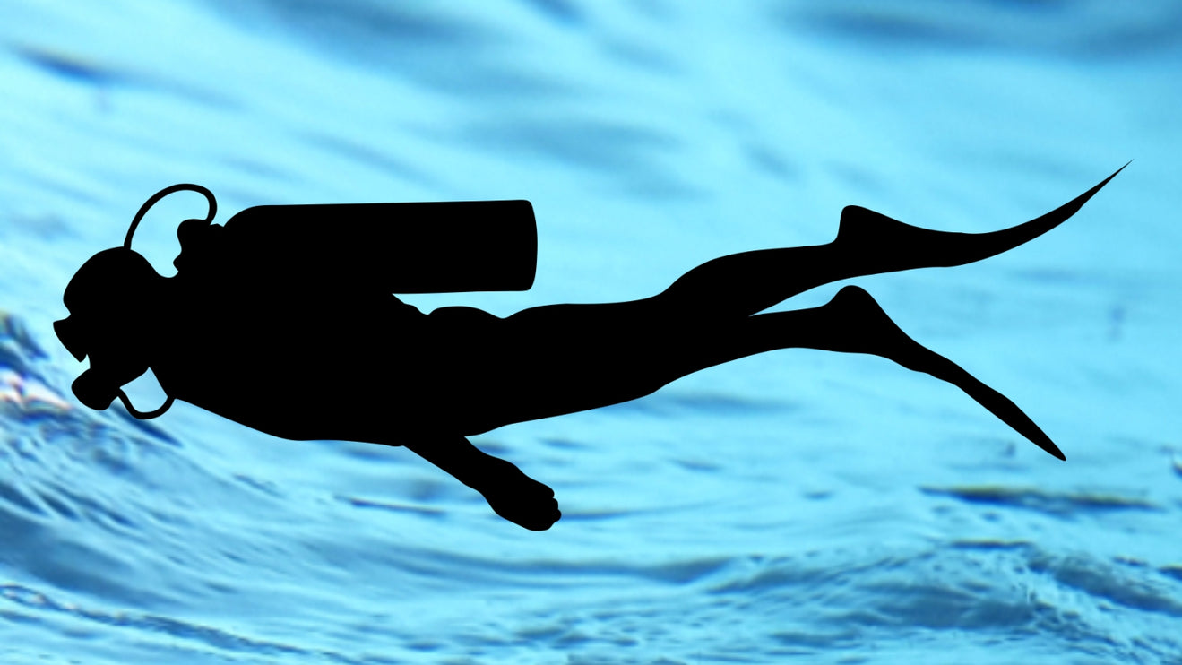 Atlantis Spring fin strap - Pair